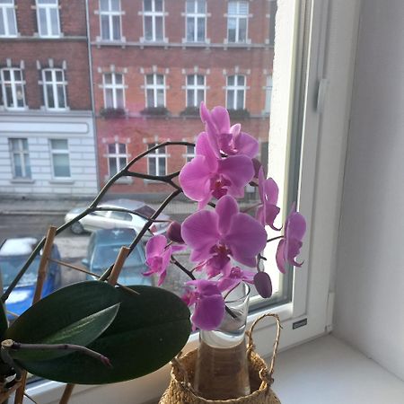 Apartament Prowansalski Z Miejscem Parkingowym Gdansk Dış mekan fotoğraf